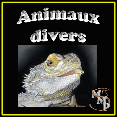 Tuile aniamux divers