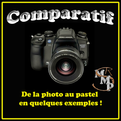 Tuile comparatif