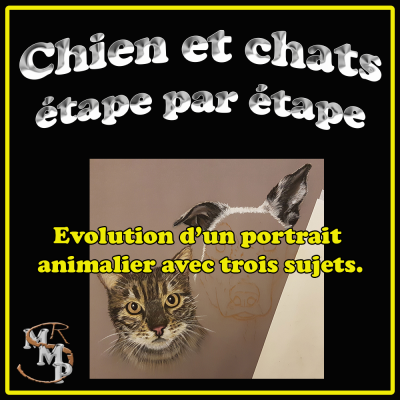 Tuile mmp chien chats zt