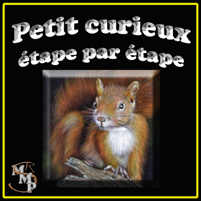 Tuile mmp le petit curieux